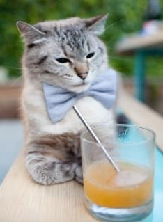 开云体育-马德里竞技完胜AC米兰，萨卡成为关键先生，一场战术与意志的胜利